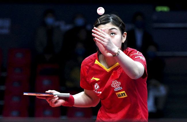 母公司Ex 母公司Ex