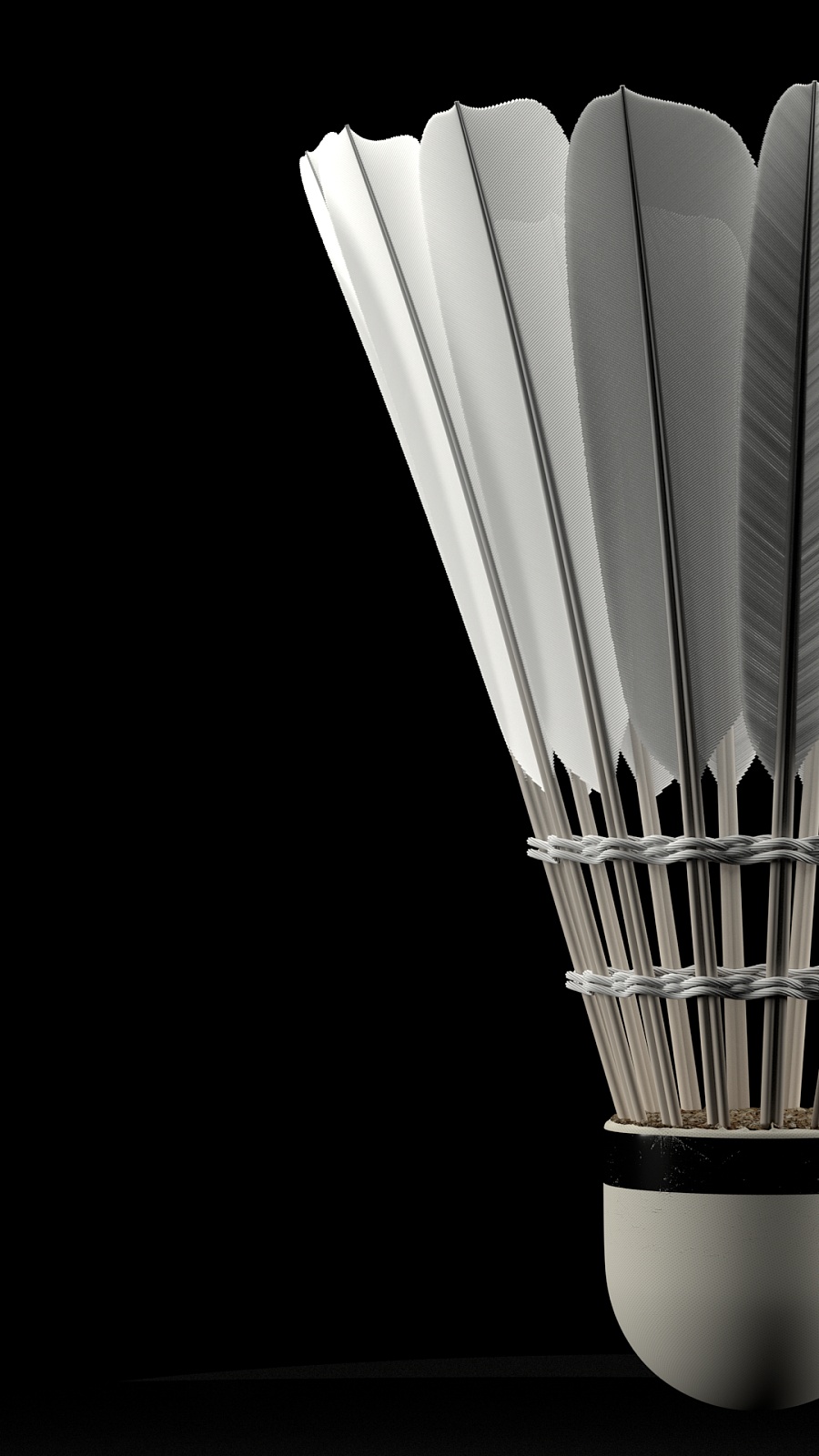 甲球队所拥 甲球队所拥