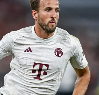 培养年轻人 培养年轻人